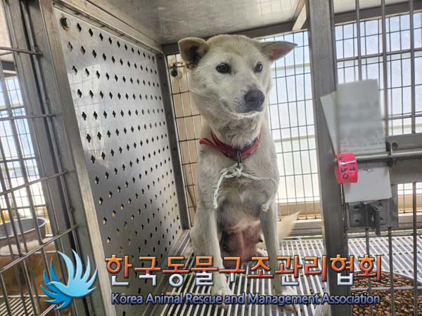 한국동물구조관리협회_441414202400307